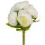 Peónia csokor 6v. krém M28cm 30db/#