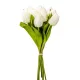 Tulipán köteg  9v. krém M40cm 24db/#