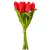 Tulipán köteg  9v. piros M40cm 24db/#