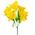 Nárcisz csokor 5v. M37cm 48db/#