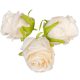 Rózsa virágfej D7cm 24db/csom ivory 925