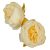 Peónia virágfej 8cm ivory 310