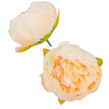 Peónia virágfej 8cm barack 925A