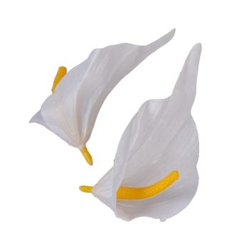 Kála virágfej M10cm 100db/csom