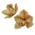 Orchidea virágfej polifoam D10cm capuccino 24db/csom