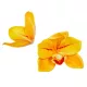Orchidea virágfej polifoam D10cm sárga 24db/csom