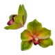 Orchidea virágfej polifoam D10cm zöld 24db/csom