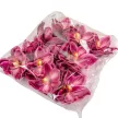 Orchidea virágfej polifoam D10cm sötétrózsaszín 24db/csom