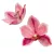 Orchidea virágfej polifoam D10cm lila 24db/csom
