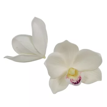 Orchidea virágfej polifoam D10cm cr 24db/csom