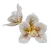 Orchidea virágfej polifoam D10cm fehér 24db/csom