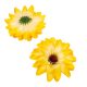 Dália virágfej szatén sárga D12cm 72db/#