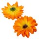 Dália virágfej szatén narancs D12cm 72db/#