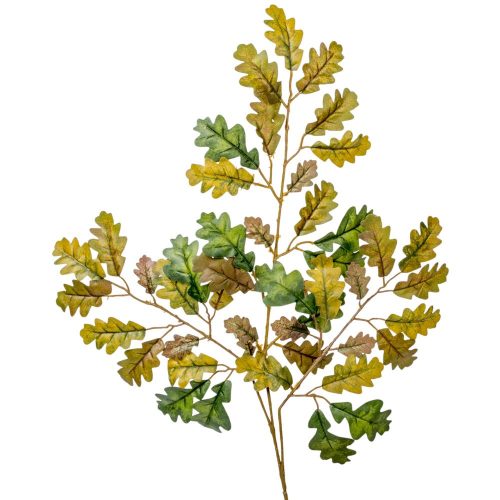 Tölgy ág M58cm 12db/köteg 48db/#