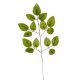Rózsa leveles ág M45cm 12db/csom