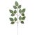 Rózsa leveles ág M45cm 12db/csom
