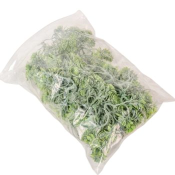 Zöld díszítő 9cm 24db-os