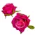 Rózsa virágfej 6cm szeder 6 darabos csomagban rendelhető (darab ár!)