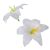 Liliom virágfej D12cm 24db/csom