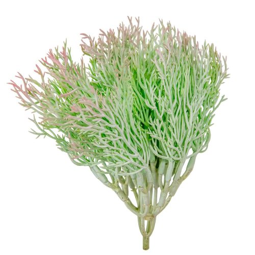 Varju háj M18cm 6db/csom