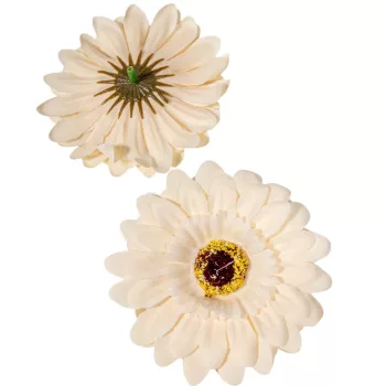 Gerbera virágfej barack D9cm 24db/csom