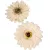 Gerbera virágfej barack D9cm 24db/csom