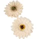 Gerbera virágfej barack D9cm 24db/csom