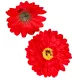 Gerbera virágfej piros D9cm 24db/csom