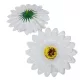 Gerbera virágfej WH D9cm 24db/csom