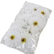 Gerbera virágfej WH D9cm 24db/csom