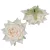 Rózsa virágfej D8cm ivory 2 12db/csom