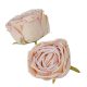 Rózsa virágfej D7cm bézs MD27 24db/csom