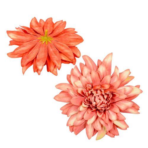 Dália virágfej D11cm D14 24db/csom