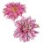 Dália virágfej D11cm világos lila D6 24db/csom