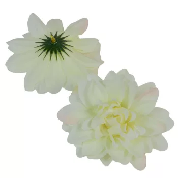 Dália virágfej D10cm krém D1 24db/csom