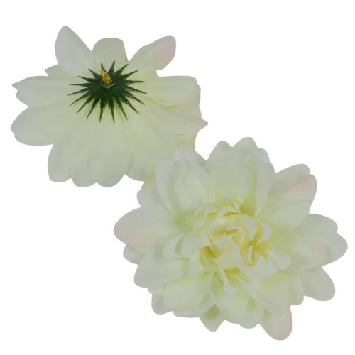 Dália virágfej D10cm krém D1 24db/csom