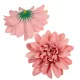 Dália virágfej D10cm sötétmályva D8 24db/csom