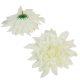 Dália virágfej D13cm krém 300 24db/csom