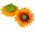 Napraforgó virágfej 13cm