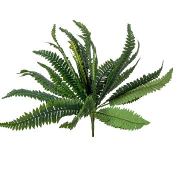 Páfrány bokor 60cm