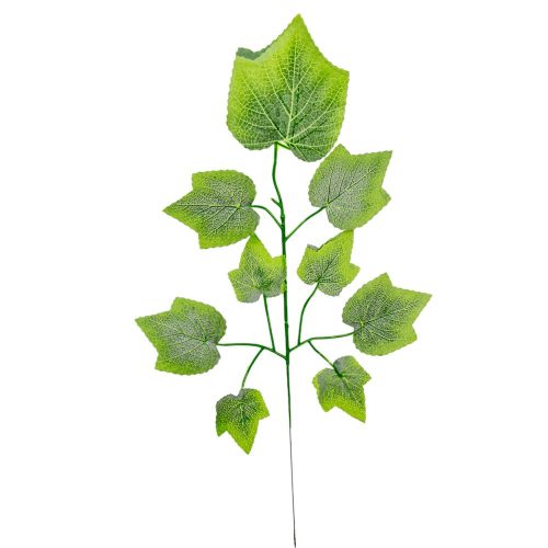 Juhar ág M55cm 12db/köteg