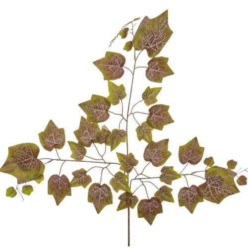 Juhar ág 68cm