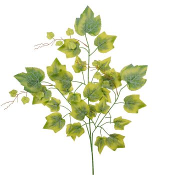 Juhar ág M68cm 12db/köteg