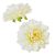 Dália virágfej krém 7,5cm 4 darabos csomagban rendelhető (darab ár!)