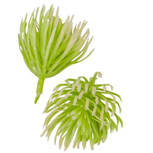 Bogáncs fej 6cm zöld 24db/csom