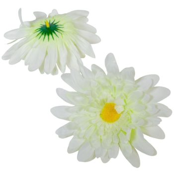 Gerbera virágfej cr D12cm 24db/csom