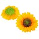 Napraforgó virágfej 15cm