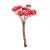 Gomba pick 10cm 12db-os