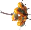 Mini tök pick 10cm 12db-os csokor