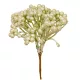 Bogyós pick menta 14cm
